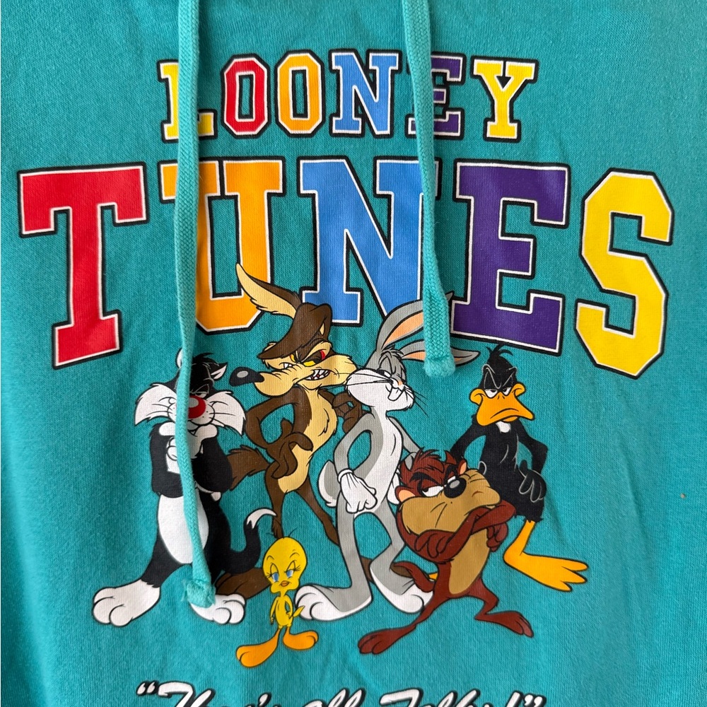 Warner Bros. Teal Looney Tunes Pullover - Picture 2 of 4